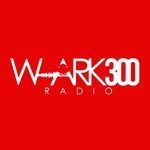 W-ARK 300 Radio