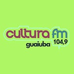 Rádio FM Cultura 104