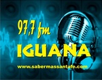 Radio Iguana