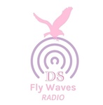 DS Fly Waves Radio
