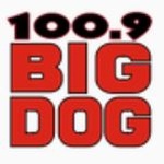 Big Dog 100.9 — CKTO-FM