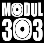 MODUL303