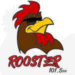 Rooster 101.5 — WFTZ