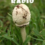 Dilligaf Radio