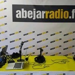 Abejar Radio