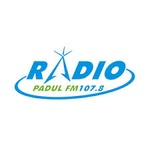 Radio Padul