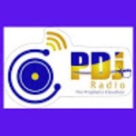 PDJ Radio