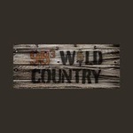 98.3 Wild Country — WKEA-FM