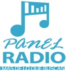 Panel Radio