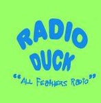 Radio Duck