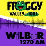 Froggy Valley 100.1 — WFVY